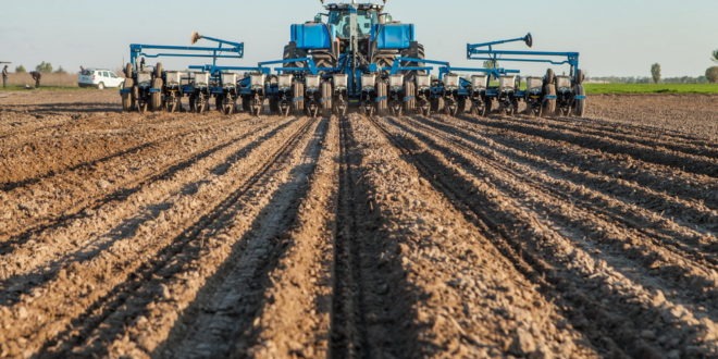 Agricultorii din Ucraina practic au finalizat campania de semănat