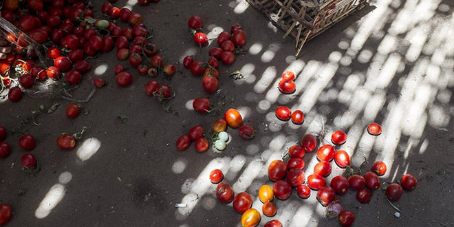 FAO va sprijini Republica Moldova în reducerea risipei de alimente