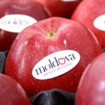 Rusia interzice importul de produse agricole din Republica Moldova