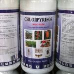 Chlorpyrifos