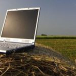 O companie din România investește 40 000 Euro într-o piață online pentru fermieri