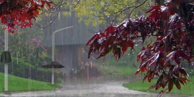 Meteorologii promit ploi pe întreg teritoriul țării