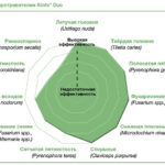 Kinto Duo – От здоровых корней – к высокому урожаю!