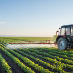 FMI a avizat proiectul de lege privind sprijinirea producătorilor agricoli