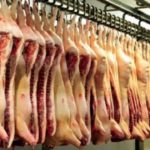 Prognoza FAO privind producţia de carne