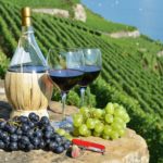 Italia, Spania și Franța – cei mai mari producători și exportatori de vin din UE