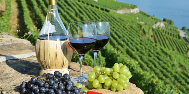 Italia, Spania și Franța – cei mai mari producători și exportatori de vin din UE