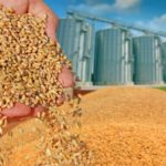 Rusia estimează că ar putea exporta 50 milioane tone de cereale