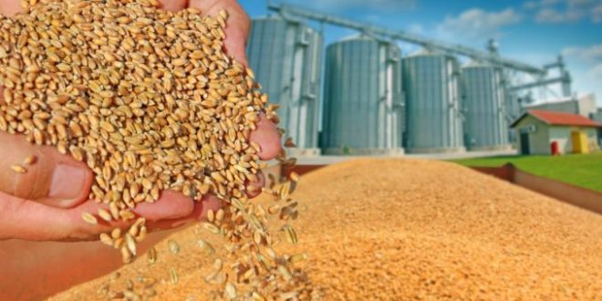 Rusia estimează că ar putea exporta 50 milioane tone de cereale