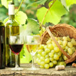 Guvernul a aprobat modificarea Legii viei și vinului