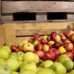 Un lot de mere moldovenești interzis în Rusia