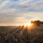Revystar®  – Это не просто решение, а ностоящая Ревилюция в защите зерновых!