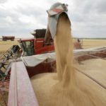 Egipt a cumpărat 180 mii tone de grâu din România și Ucraina
