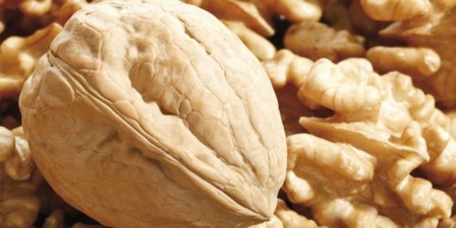 В Молдове резко возросли цены на грецкий орех