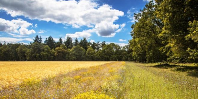 BASF Agricultural Solutions lansează un program de reducere a emisiilor de CO2 din ferme