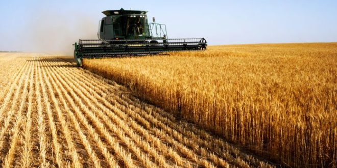 Războiul din Ucraina ar putea amâna planurile UE vizând agricultura durabilă