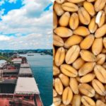 Pierderi de 6 mlrd USD pentru ucraineni doar de la sistarea exportului de cereale