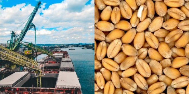 Pierderi de 6 mlrd USD pentru ucraineni doar de la sistarea exportului de cereale