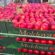 Încă 12 companii din Moldova vor putea exporta fructe și legume în Federația Rusă