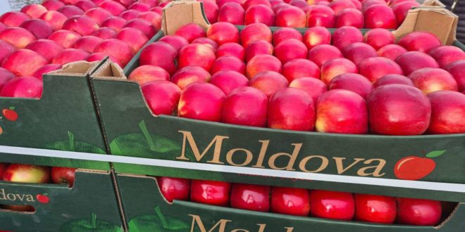 Fermierii au reușit să exporte 63 mii de tone de mere în aprilie-mai 2022