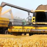 Recolta de cereale a Ucrainei ar putea scădea la jumătate în 2023 comparativ cu 2022