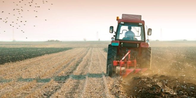 Agricultura RM în cădere liberă: anul trecut a scăzut cu 30%