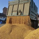Republica Moldova amână impunerea de restricții privind importul de cereale din Ucraina