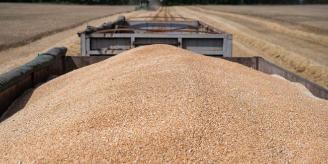 Republica Moldova vrea să impună restricții pentru cerealele ucrainene