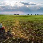 BIRD va oferi Republicii Moldova un împrumut în valoare de 55 de milioane de dolari pentru investiții în sectorul agricol