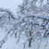 Fotografia zilei – 5 aprilie 2023: Moldova sub zăpadă