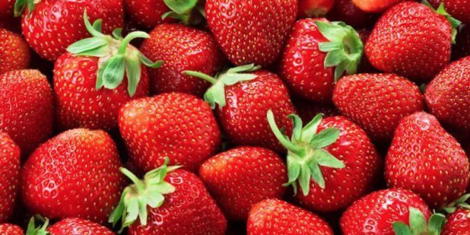Moldova a crescut brusc exportul de căpșune. Cine este principalul cumpărător?