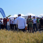 Seminar BASF despre protecția culturilor cerealiere și tehnice în condițiile anului 2023