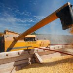 Producătorii agricoli și fermierii români cer guvernului Ciolacu interzicerea importului de cereale din Ucraina