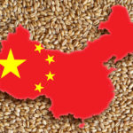 China face achiziții record de grâu și și-a rezervat milioane de tone din Australia și Franța