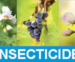 insecticide