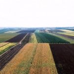 Noul Cod funciar – aprobat de Parlament în prima lectură: cetățenii străini nu vor putea deține terenuri agricole