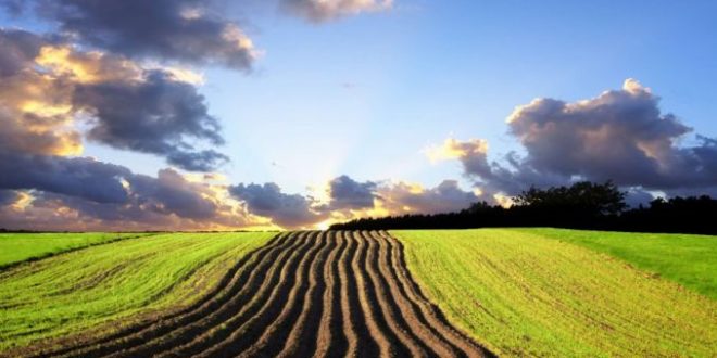 Prețurile terenurilor agricole franceze, printre cele mai ieftine din UE. De ce?