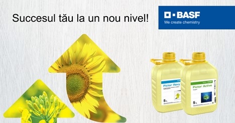 Pictor® Active și Pictor® Revy – protecție avansată pentru culturi de calitate