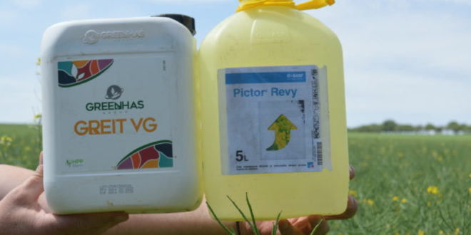 Fotografia zilei: protejăm rapița de boli înainte de ploi