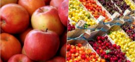 Volume mai mari de prune, struguri, cireșe și mere vor putea fi exportate în UE fără taxe