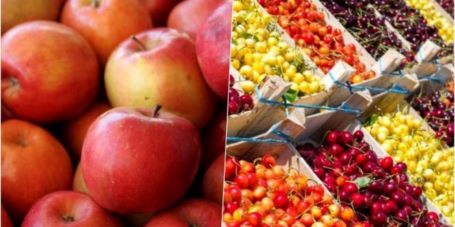 Volume mai mari de prune, struguri, cireșe și mere vor putea fi exportate în UE fără taxe