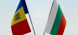 Exportul de semințe de floarea-soarelui pe piața Bulgariei: creștere de 275,6% în anul trecut