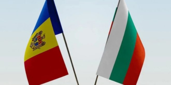Exportul de semințe de floarea-soarelui pe piața Bulgariei: creștere de 275,6% în anul trecut