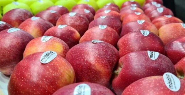 Moldova va înregistra o scădere de peste 30% a producției de mere în acest an, din cauza înghețurilor de primăvară. Care este situația în UE?