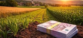 Cel mai scump teren agricol din UE: unde se află și cu cât se vinde?